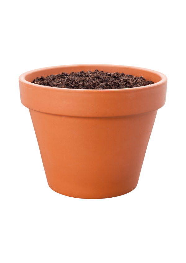 Classic Terracotta Clay Pot (Large)