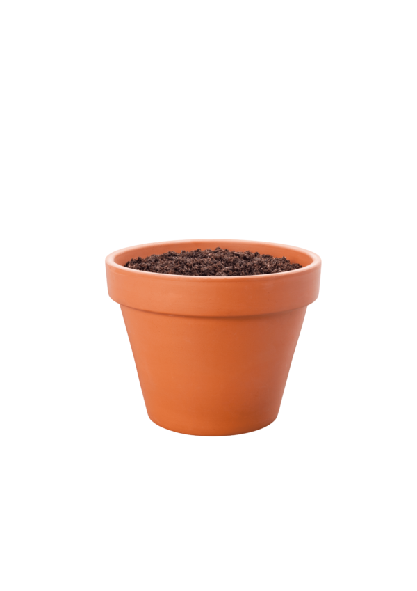 Classic Terracotta Clay Pot – Perfect for Indoor Plants (Small)