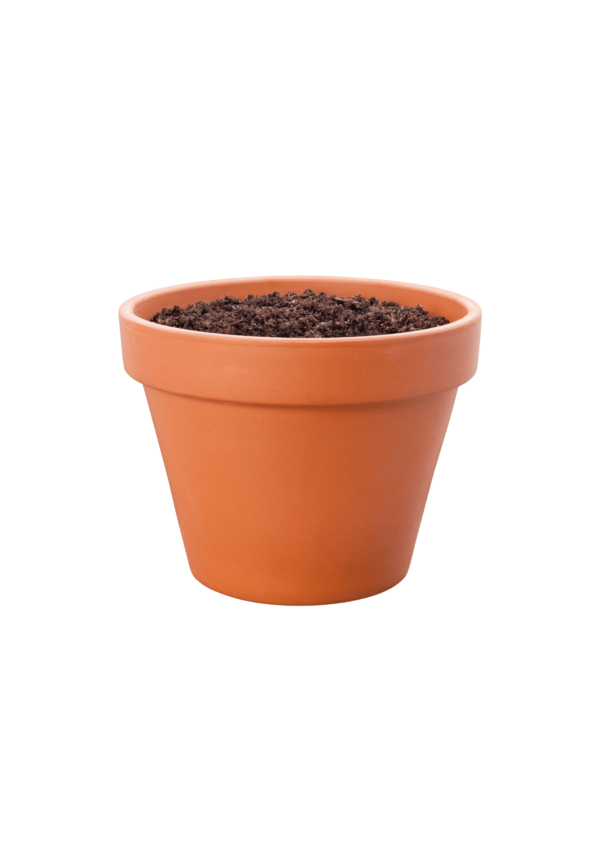 Classic Terracotta Clay Pot – Perfect for Indoor Plants (Medium)