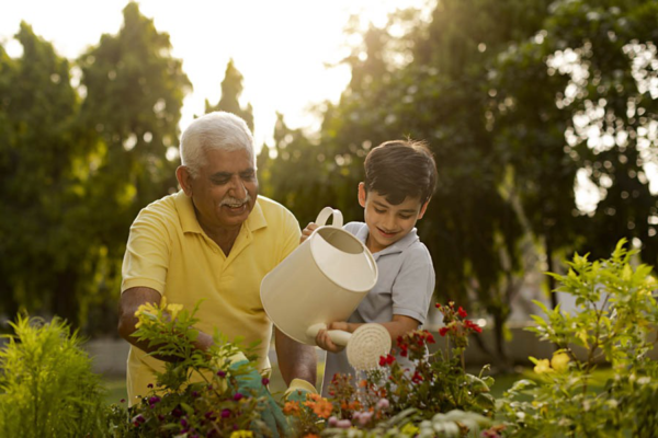 Watering Can - Durable & Stylish Gardening Essential (2 Litre) - Image 4