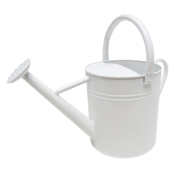 Watering Can - Durable & Stylish Gardening Essential (2 Litre)