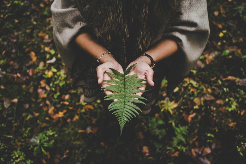 A woman holding a vivid green fern leaf in an autumn forest, showcasing nature's beauty.